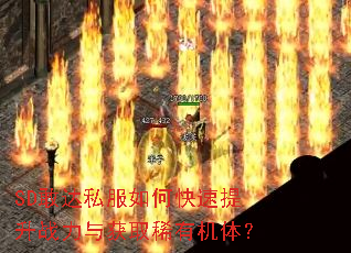 SD敢达私服如何快速提升战力与获取稀有机体? SD敢达私服如何快速提升战力与获取稀有机体?