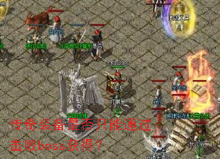����װ���Ƿ�ֻ��ͨ������boss��ã�