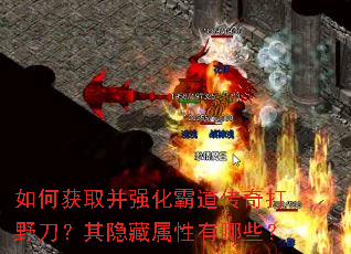 ��λ�ȡ��ǿ���Ե������Ұ������������������Щ��