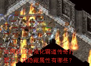 ��λ�ȡ��ǿ���Ե������Ұ������������������Щ��
