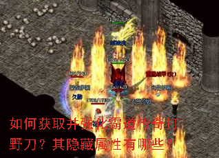 ��λ�ȡ��ǿ���Ե������Ұ������������������Щ��