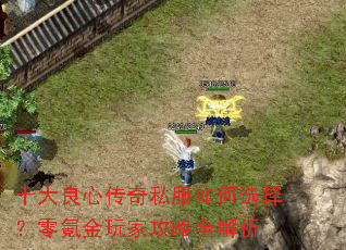 十大良心传奇私服如何选择?零氪金玩家攻略全解析 十大良心传奇私服如何选择?零氪金玩家攻略全解析