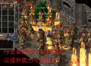 行会如何参与各类活动以提升实力与凝聚力? 行会如何参与各类活动以提升实力与凝聚力?