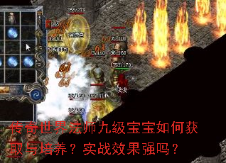 传奇世界法师九级宝宝如何获取与培养?实战效果强吗? 传奇世界法师九级宝宝如何获取与培养?实战效果强吗?