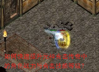 如何快速提升元神合击传奇中的角色战力与合击技能等级? 如何快速提升元神合击传奇中的角色战力与合击技能等级?