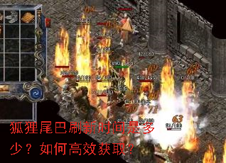 狐狸尾巴刷新时间是多少?如何高效获取? 狐狸尾巴刷新时间是多少?如何高效获取?