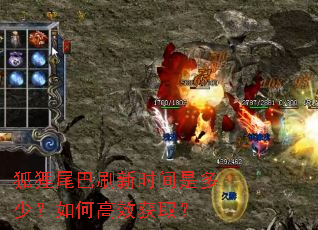 狐狸尾巴刷新时间是多少?如何高效获取? 狐狸尾巴刷新时间是多少?如何高效获取?