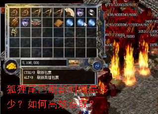 狐狸尾巴刷新时间是多少?如何高效获取? 狐狸尾巴刷新时间是多少?如何高效获取?