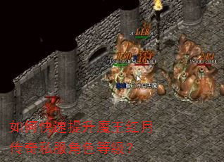如何快速提升魔王红月传奇私服角色等级? 如何快速提升魔王红月传奇私服角色等级?
