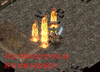 有没有单机版传奇私服游戏攻略问题解答? 有没有单机版传奇私服游戏攻略问题解答?