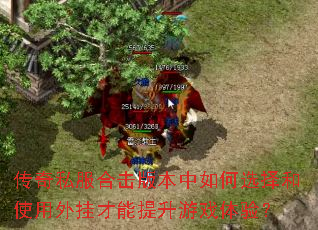 传奇私服合击版本中如何选择和使用外挂才能提升游戏体验? 传奇私服合击版本中如何选择和使用外挂才能提升游戏体验?