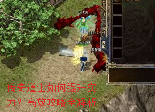 传奇道士如何提升实力?高效攻略全解析 传奇道士如何提升实力?高效攻略全解析