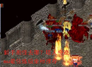 新手刷怪去哪?塔人奇迹mu最佳练级坐标推荐 新手刷怪去哪?塔人奇迹mu最佳练级坐标推荐