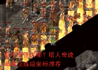 新手刷怪去哪?塔人奇迹mu最佳练级坐标推荐 新手刷怪去哪?塔人奇迹mu最佳练级坐标推荐