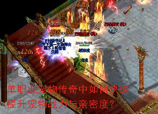 ��ְҵ���ﴫ������ο�����������ս�������ܶȣ�