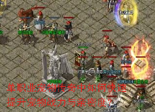 ��ְҵ���ﴫ������ο�����������ս�������ܶȣ�
