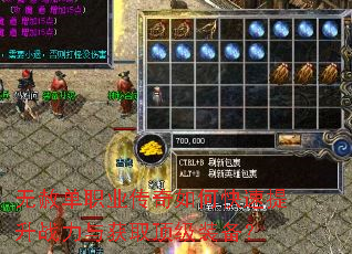 无赦单职业传奇如何快速提升战力与获取顶级装备? 无赦单职业传奇如何快速提升战力与获取顶级装备?
