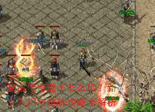 ���Ŵ����ʿ��ô�棿������������׹���ȫ����