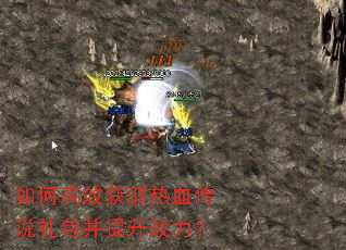��θ�Ч��ȡ��Ѫ��˵���������ս����