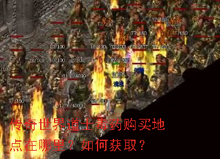 传奇世界道士毒药购买地点在哪里?如何获取? 传奇世界道士毒药购买地点在哪里?如何获取?