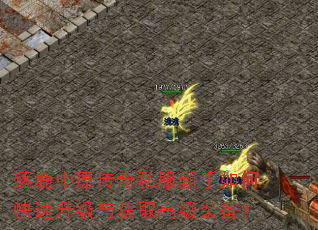 逐鹿中原传奇私服新手如何快速升级与获取高级装备? 逐鹿中原传奇私服新手如何快速升级与获取高级装备?