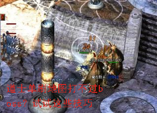 ��ʿ��ˢ��ͼ�򲻹�boss��������Щ����