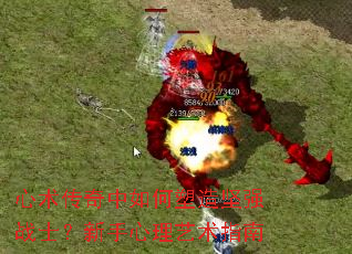 心术传奇中如何塑造坚强战士?新手心理艺术指南 心术传奇中如何塑造坚强战士?新手心理艺术指南
