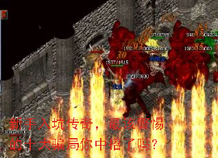 ������Ӵ��棬��þ����ʮ��ƭ������������