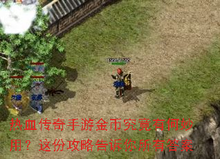 热血传奇手游金币究竟有何妙用?这份攻略告诉你所有答案 热血传奇手游金币究竟有何妙用?这份攻略告诉你所有答案