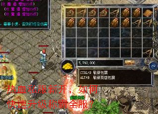 热血私服新开,如何快速升级称霸全服? 热血私服新开,如何快速升级称霸全服?