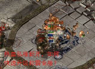 热血私服新开,如何快速升级称霸全服? 热血私服新开,如何快速升级称霸全服?