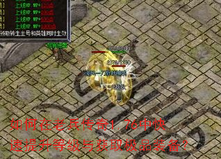 如何在老兵传奇1.76中快速提升等级与获取极品装备? 如何在老兵传奇1.76中快速提升等级与获取极品装备?