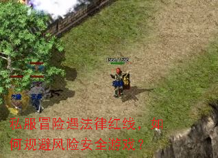 私服冒险遇法律红线,如何规避风险安全游戏? 私服冒险遇法律红线,如何规避风险安全游戏?