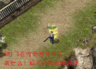 SF1.5在传奇游戏中代表什么?新手必看攻略解析 SF1.5在传奇游戏中代表什么?新手必看攻略解析
