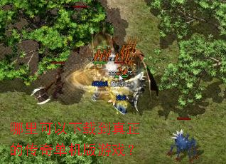 哪里可以下载到真正的传奇单机版游戏? 哪里可以下载到真正的传奇单机版游戏?