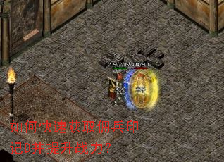 如何快速获取佣兵印记D并提升战力? 如何快速获取佣兵印记D并提升战力?