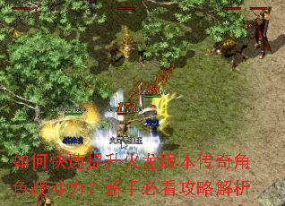 如何快速提升火龙版本传奇角色战斗力?新手必看攻略解析 如何快速提升火龙版本传奇角色战斗力?新手必看攻略解析