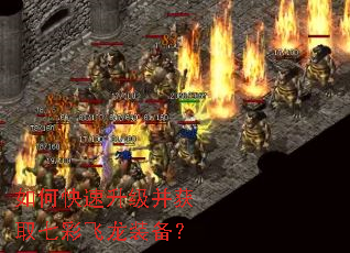 如何快速升级并获取七彩飞龙装备? 如何快速升级并获取七彩飞龙装备?