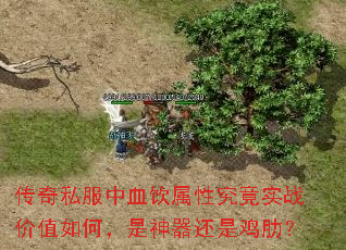 传奇私服中血饮属性究竟实战价值如何,是神器还是鸡肋? 传奇私服中血饮属性究竟实战价值如何,是神器还是鸡肋?