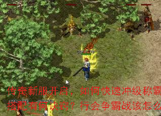传奇新服开启,如何快速冲级称霸全服?装备获取与技能搭配有何诀窍?行会争霸战该怎么备战才能稳操胜券? 传奇新服开启,如何快速冲级称霸全服?装备获取与技能搭配有何诀窍?行会争霸战该怎么备战才能稳操胜券?