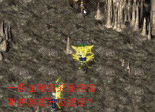 一条龙服务究竟包含哪些游戏升级捷径? 一条龙服务究竟包含哪些游戏升级捷径?