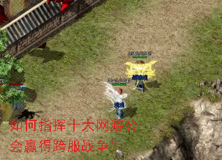 如何指挥十大网游公会赢得跨服战争? 如何指挥十大网游公会赢得跨服战争?