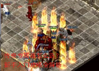 传奇专属服怎么选?新手入门攻略全解析 传奇专属服怎么选?新手入门攻略全解析