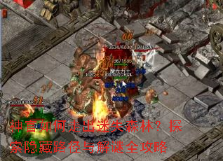 神官如何走出迷失森林?探索隐藏路径与解谜全攻略 神官如何走出迷失森林?探索隐藏路径与解谜全攻略
