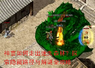 神官如何走出迷失森林?探索隐藏路径与解谜全攻略 神官如何走出迷失森林?探索隐藏路径与解谜全攻略