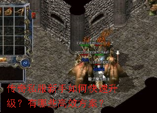 传奇私服新手如何快速升级?有哪些高效方案? 传奇私服新手如何快速升级?有哪些高效方案?