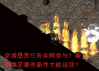 皇城悬赏任务如何参与?需要满足哪些条件才能接取? 皇城悬赏任务如何参与?需要满足哪些条件才能接取?