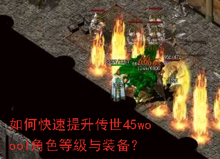 如何快速提升传世45woool角色等级与装备? 如何快速提升传世45woool角色等级与装备?