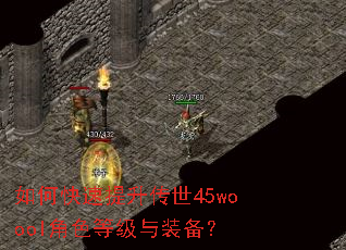 如何快速提升传世45woool角色等级与装备? 如何快速提升传世45woool角色等级与装备?