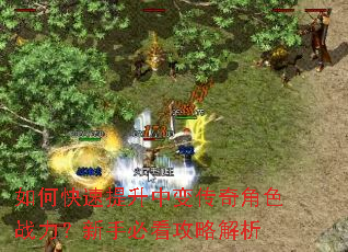 如何快速提升中变传奇角色战力?新手必看攻略解析 如何快速提升中变传奇角色战力?新手必看攻略解析